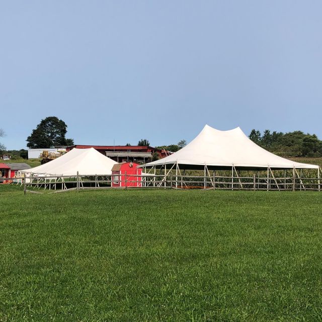 We’ve been busy this week! Fall farm festivals are coming soon! 🍂A corporate event and a backyard wedding! Call or email for your next fall event 📞 #partyrentals #tentrentals #fallfestivals #fallfun #backyardweddings #corprateevents #warrencountynj #morriscountynj #tents #events